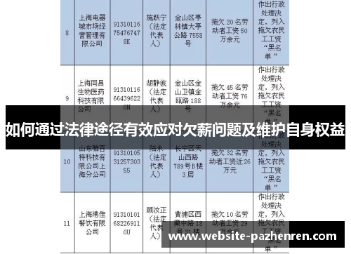如何通过法律途径有效应对欠薪问题及维护自身权益