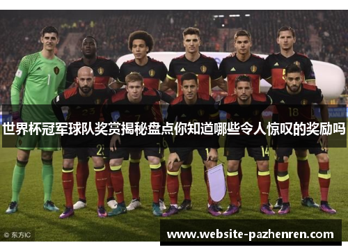 世界杯冠军球队奖赏揭秘盘点你知道哪些令人惊叹的奖励吗