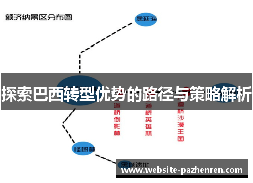 探索巴西转型优势的路径与策略解析